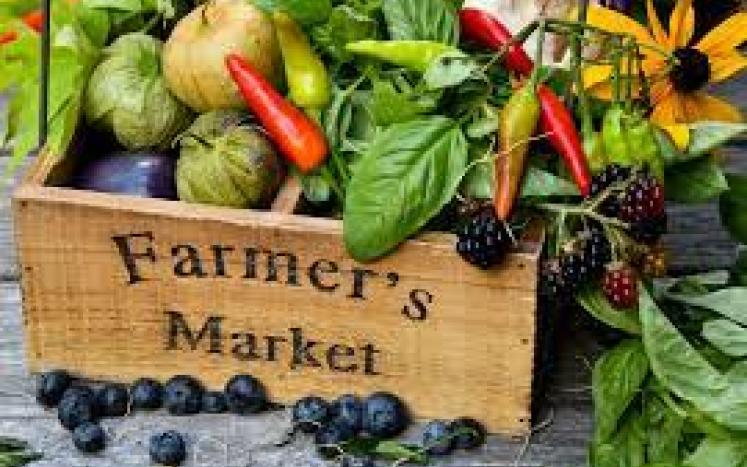  East Haven Farmers Market Returns 